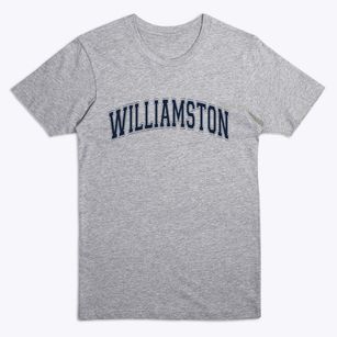 Williamston Michigan Varsity Premium T-Shirt