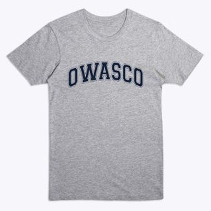 Owasco New York Varsity Premium T-Shirt
