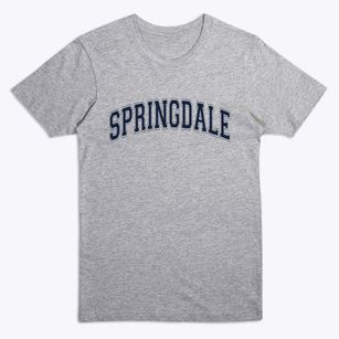 Springdale Pennsylvania Varsity Premium T-Shirt
