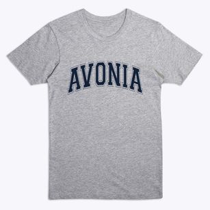 Avonia Pennsylvania Varsity Premium T-Shirt