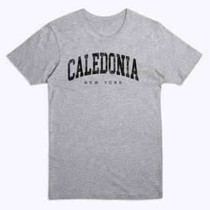 Caledonia New York Urban Vibe Premium T-Shirt