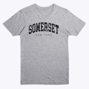 Somerset New York Urban Vibe Premium T-Shirt