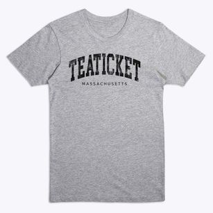 Teaticket Massachusetts Urban Vibe Premium T-Shirt