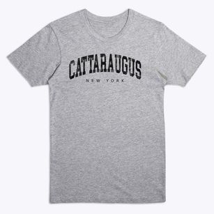 Cattaraugus New York Urban Vibe Premium T-Shirt
