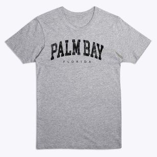 Palm Bay Florida Urban Vibe Premium T-Shirt