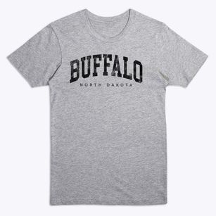 Buffalo North Dakota Urban Vibe Premium T-Shirt