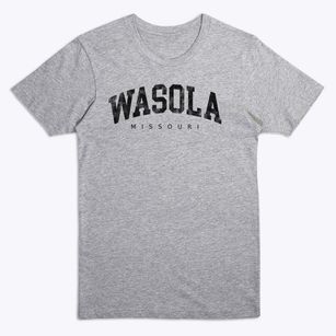 Wasola Missouri Urban Vibe Premium T-Shirt