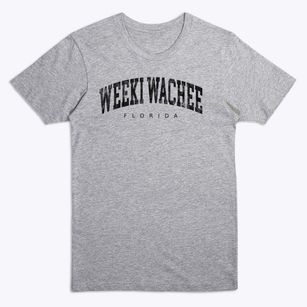 Weeki Wachee Florida Urban Vibe Premium T-Shirt