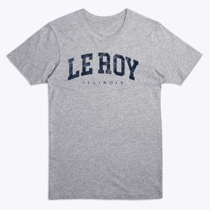 Le Roy Illinois Urban Vibe Premium T-Shirt