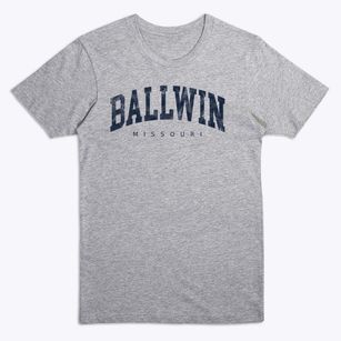 Ballwin Missouri Urban Vibe Premium T-Shirt