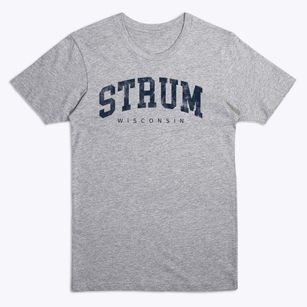 Strum Wisconsin Urban Vibe Premium T-Shirt