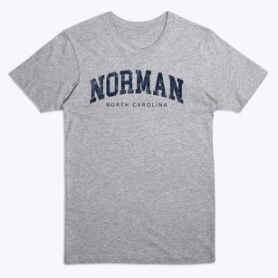 Norman North Carolina Urban Vibe Premium T-Shirt