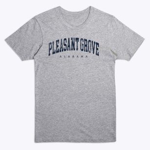 Pleasant Grove Alabama Urban Vibe Premium T-Shirt