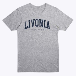 Livonia New York Urban Vibe Premium T-Shirt