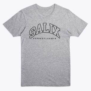 Salix Pennsylvania Inline Premium T-Shirt