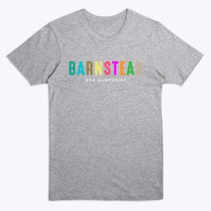 Barnstead New Hampshire Color Pop Premium T-Shirt