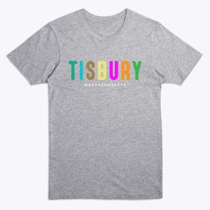 Tisbury Massachusetts Color Pop Premium T-Shirt