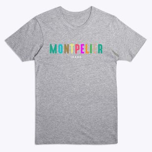 Montpelier Idaho Color Pop Premium T-Shirt