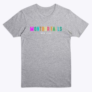 Montour Falls New York Color Pop Premium T-Shirt