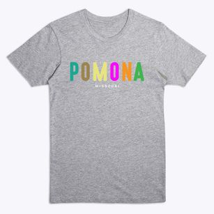 Pomona Missouri Color Pop Premium T-Shirt