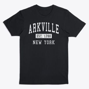 Arkville New York Classic Established Premium T-Shirt