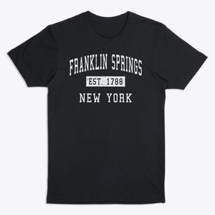 Franklin Springs New York Classic Established Premium T-Shirt