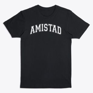 Amistad High School Varsity Arch Premium T-Shirt