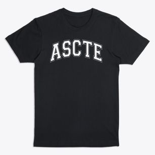 Alabama School Of Cyber Technology And Engineering Varsity Arch Premium T-Shirt