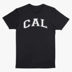 Christian Academy Of Louisville Varsity Arch Premium T-Shirt