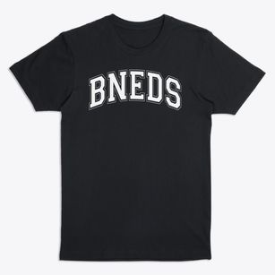 Bishop Noland Episcopal Day School Varsity Arch Premium T-Shirt