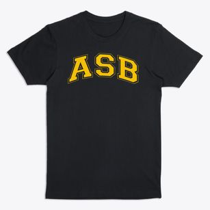 Assumption School Varsity Arch Premium T-Shirt