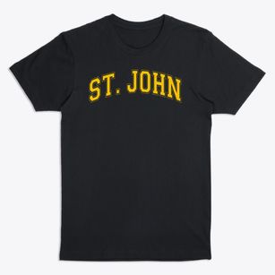 Saint John Catholic School Varsity Arch Premium T-Shirt