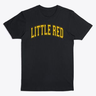 Little Red School House Varsity Arch Premium T-Shirt