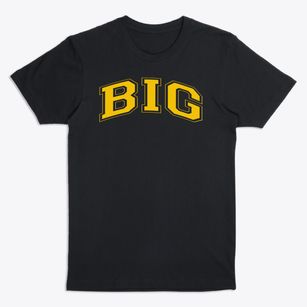Big School Varsity Arch Premium T-Shirt