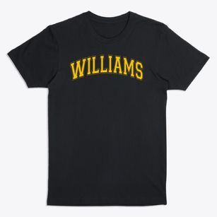 Archbishop Williams High School Varsity Arch Premium T-Shirt