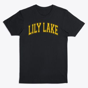 Lily Lake Elementary School Varsity Arch Premium T-Shirt