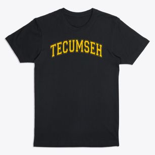 Tecumseh Elementary School Varsity Arch Premium T-Shirt