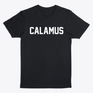 Calamus Wisconsin Classic Block Premium T-Shirt