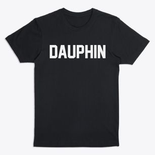 Dauphin Pennsylvania Classic Block Premium T-Shirt