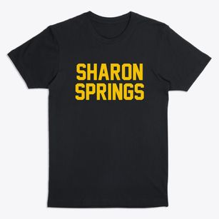 Sharon Springs New York Classic Block Premium T-Shirt