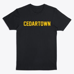 Cedartown Georgia Classic Block Premium T-Shirt