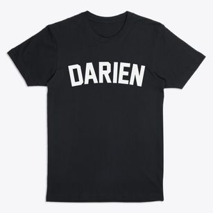 Darien New York Classic Curve Premium T-Shirt