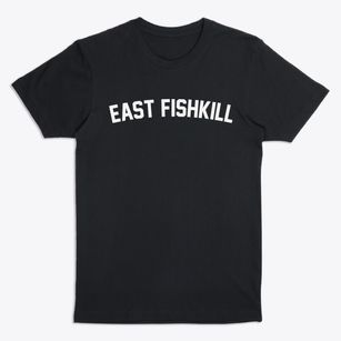 East Fishkill New York Classic Curve Premium T-Shirt