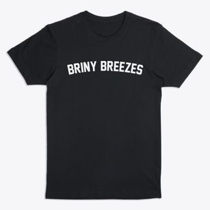 Briny Breezes Florida Classic Curve Premium T-Shirt