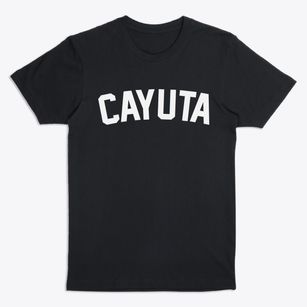 Cayuta New York Classic Curve Premium T-Shirt