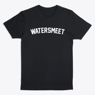 Watersmeet Michigan Classic Curve Premium T-Shirt