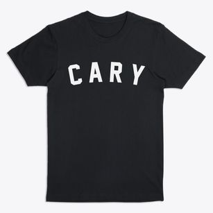 Cary Illinois Classic Curve Premium T-Shirt