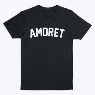 Amoret Missouri Classic Curve Premium T-Shirt