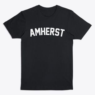 Amherst New Hampshire Classic Curve Premium T-Shirt