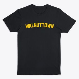 Walnuttown Pennsylvania Classic Curve Premium T-Shirt